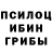 Галлюциногенные грибы GOLDEN TEACHER Dyvoctor D