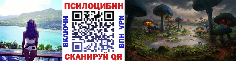 Псилоцибиновые грибы мицелий  гидра маркетплейс  Североуральск 