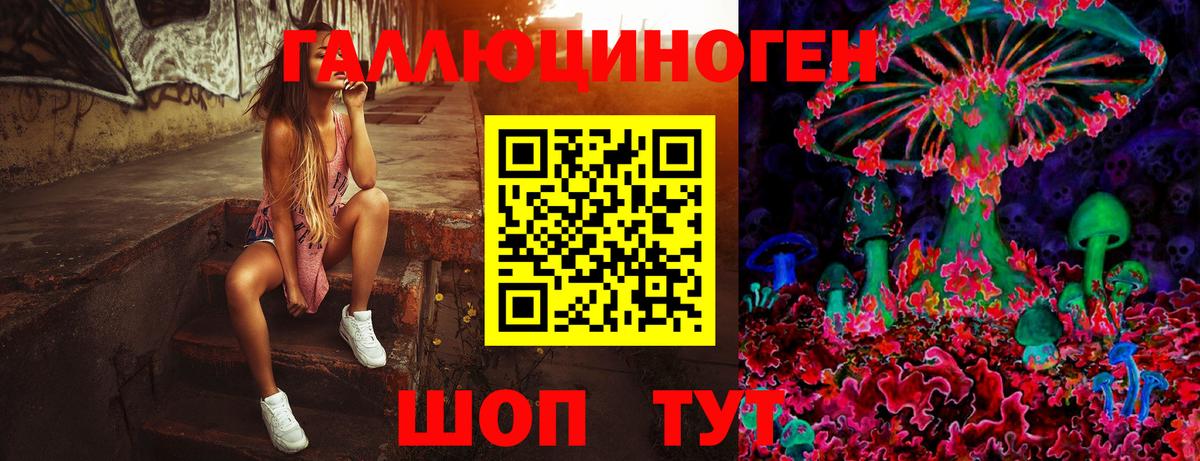 Североуральск  Галлюциногенные грибы MAGIC MUSHROOMS  Галлюциногенные грибы прущие грибы  Вход с VPN 
